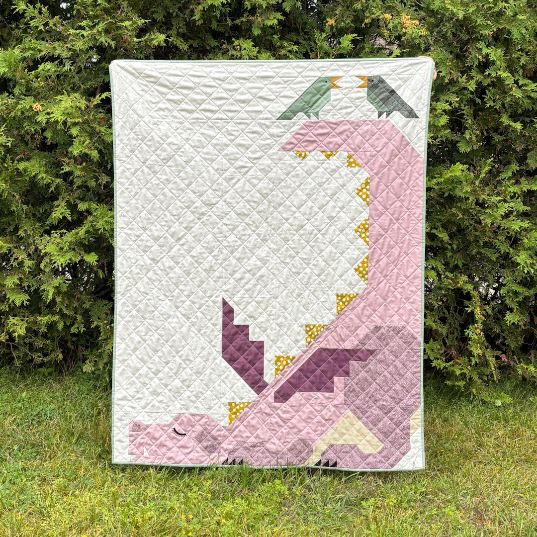 Do you need help with your Dragon Dreams quilt?